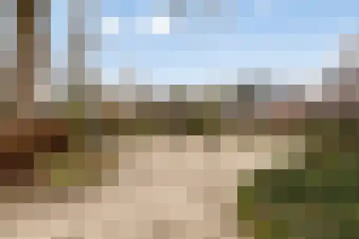 Bijland 206 Uden thumbnail 45