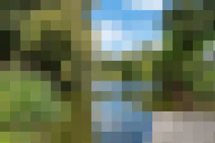 Bijlmerdreef 220 Amsterdam thumbnail 33