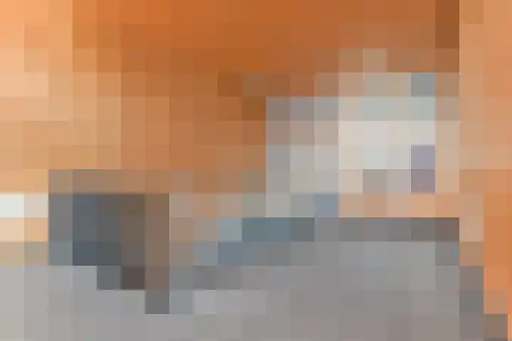 Bijlmerdreef 340 Amsterdam thumbnail 20