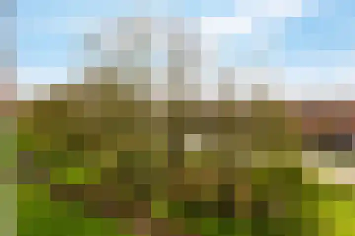 Bijlmerdreef 967 Amsterdam thumbnail 45