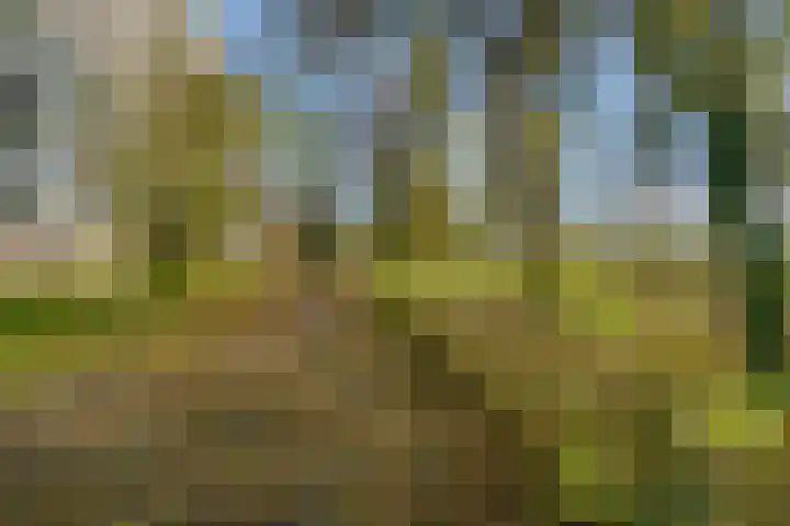Bijlmerdreef 967 Amsterdam thumbnail 54