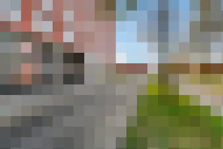 Bijlmerdreef 967 Amsterdam thumbnail 55