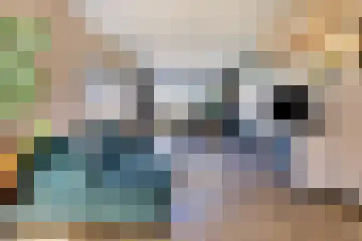 Bijltje 45 Breda thumbnail 11