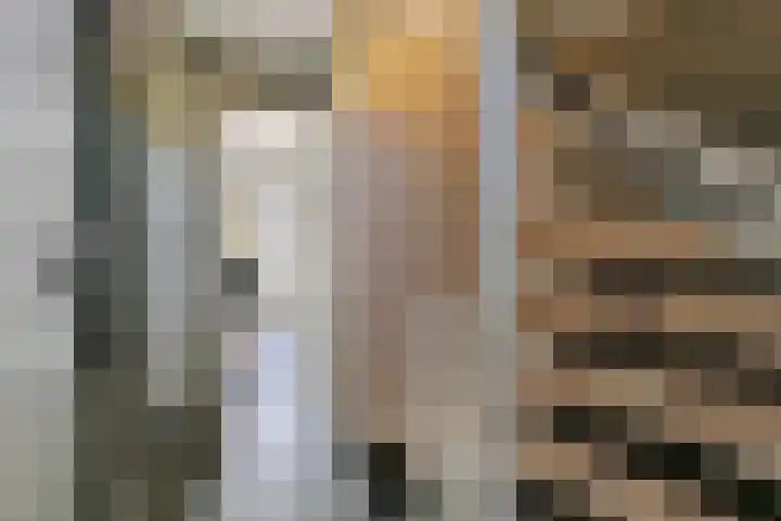 Bijltje 45 Breda thumbnail 17