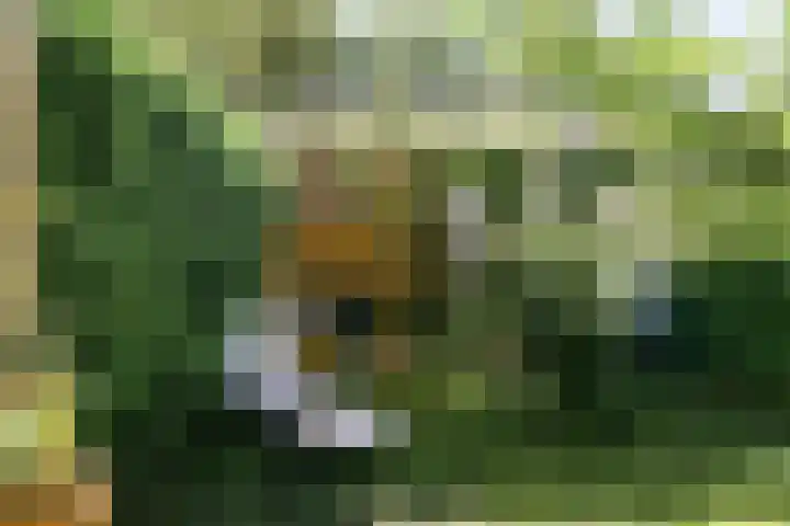 Bijltje 45 Breda thumbnail 28