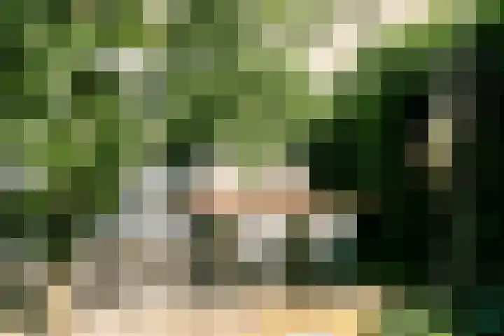 Bijltje 45 Breda thumbnail 31