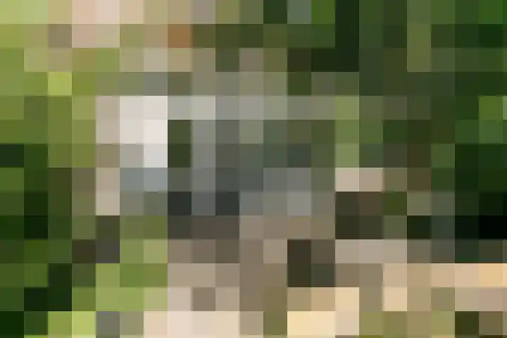 Bijltje 45 Breda thumbnail 32