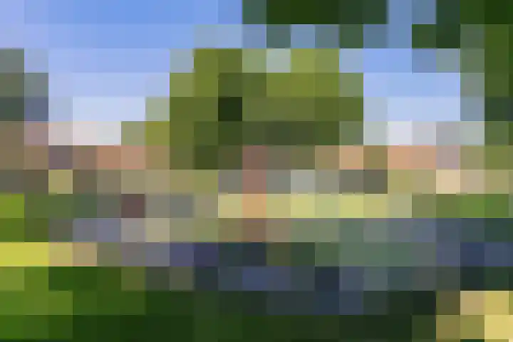 Bijltje 45 Breda thumbnail 33