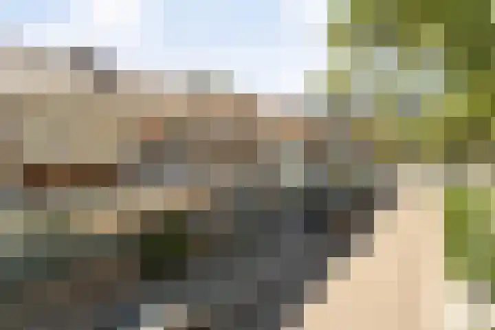 Bijltje 45 Breda thumbnail 34