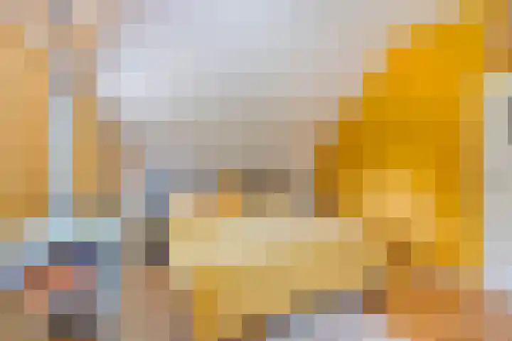 Bijsterbosweg 5 A Epe thumbnail 20