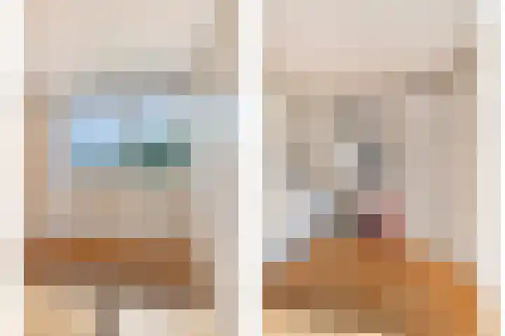 Bijsterbosweg 5 A Epe thumbnail 22