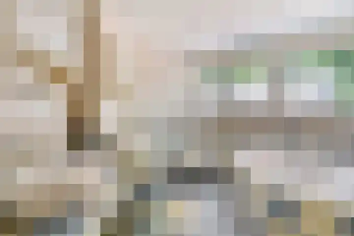 Bijsterbosweg 5 A Epe thumbnail 25