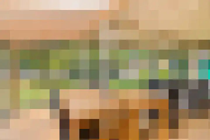 Bijsterbosweg 5 A Epe thumbnail 29