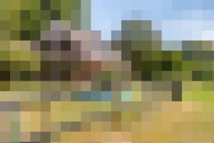 Bijsterbosweg 5 A Epe thumbnail 33