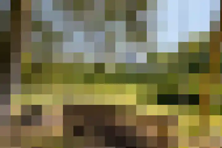 Bijsterbosweg 5 A Epe thumbnail 34