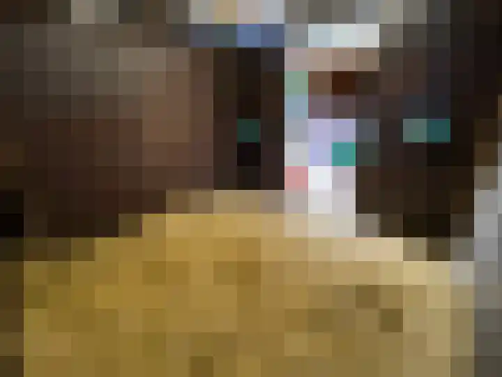 Bijsterbosweg 5 A Epe thumbnail 36