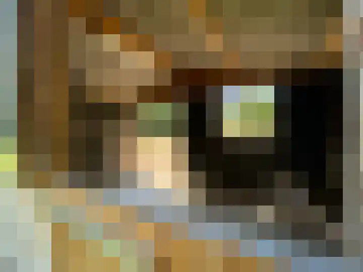 Bijsterbosweg 5 A Epe thumbnail 38