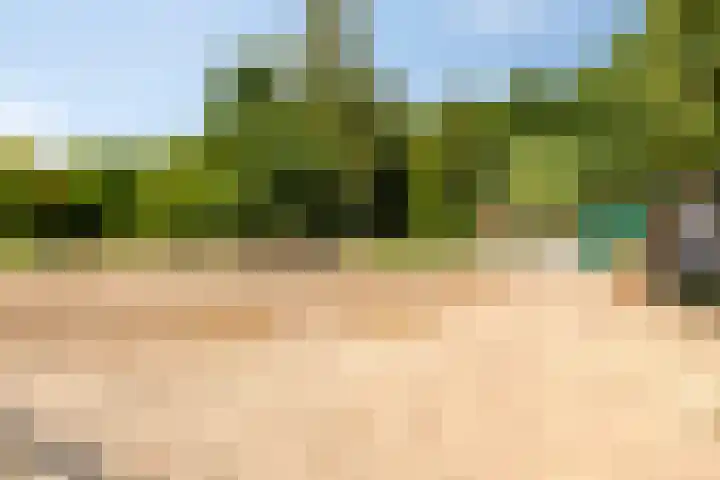 Bijsterbosweg 5 A Epe thumbnail 39