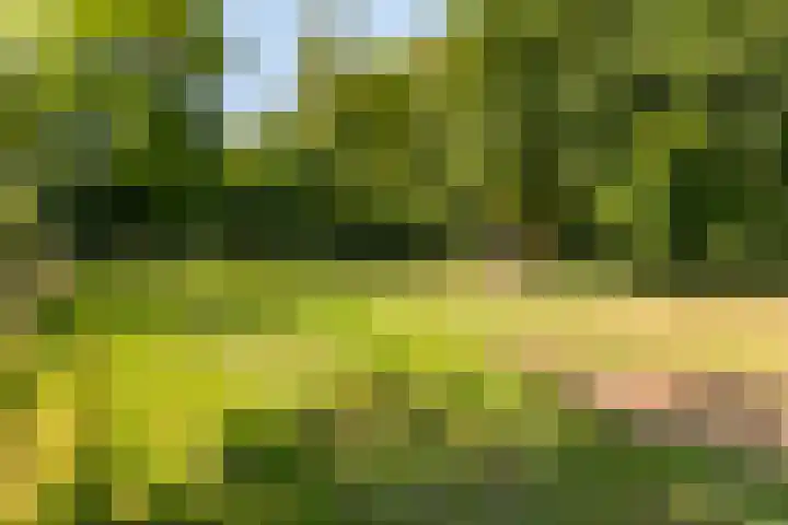 Bijsterbosweg 5 A Epe thumbnail 40
