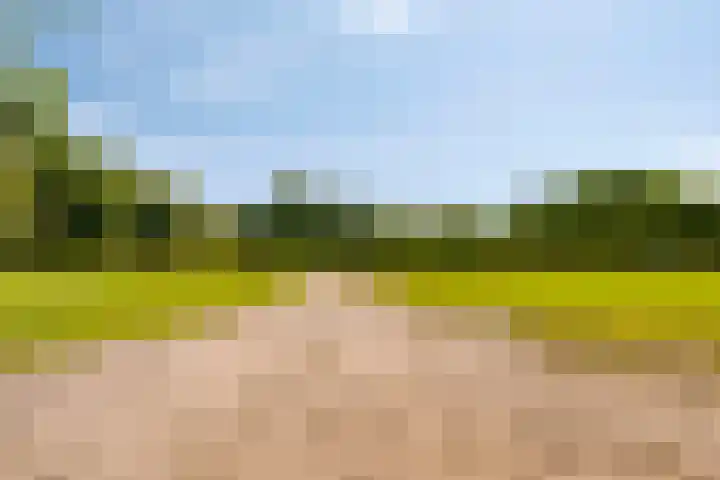 Bijsterbosweg 5 A Epe thumbnail 41