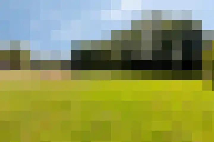 Bijsterbosweg 5 A Epe thumbnail 43