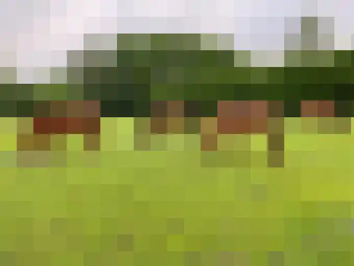 Bijsterbosweg 5 A Epe thumbnail 44