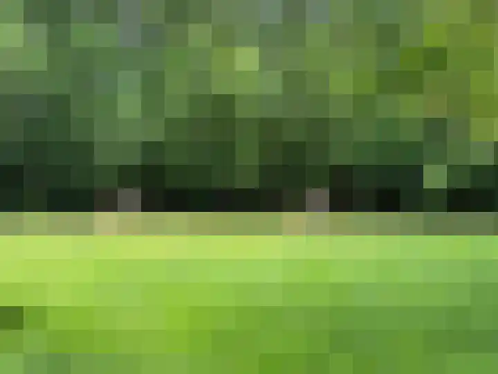 Bijsterbosweg 5 A Epe thumbnail 46
