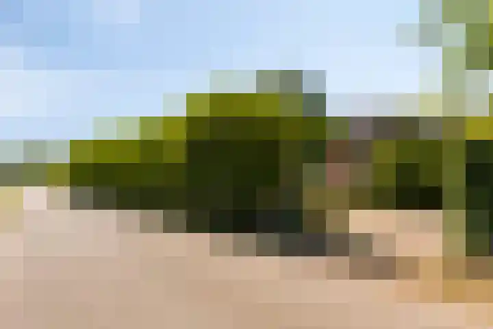 Bijsterbosweg 5 A Epe thumbnail 47