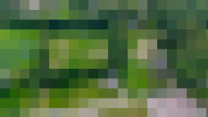 Bijsterbosweg 5 A Epe thumbnail 5
