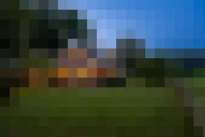 Bijsterbosweg 5 A Epe thumbnail 54