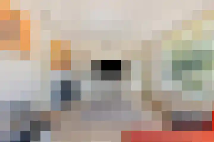 Bijsterbosweg 5 A Epe thumbnail 9