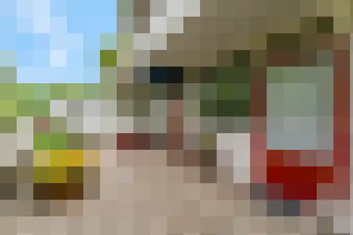 Bijsterveld 9 Ede thumbnail 26