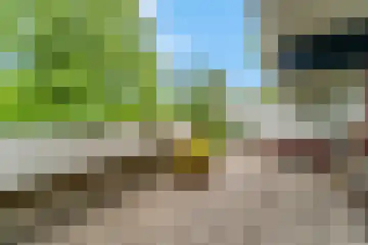 Bijsterveld 9 Ede thumbnail 27