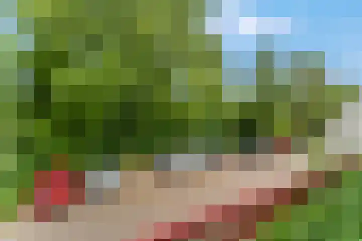 Bijsterveld 9 Ede thumbnail 30