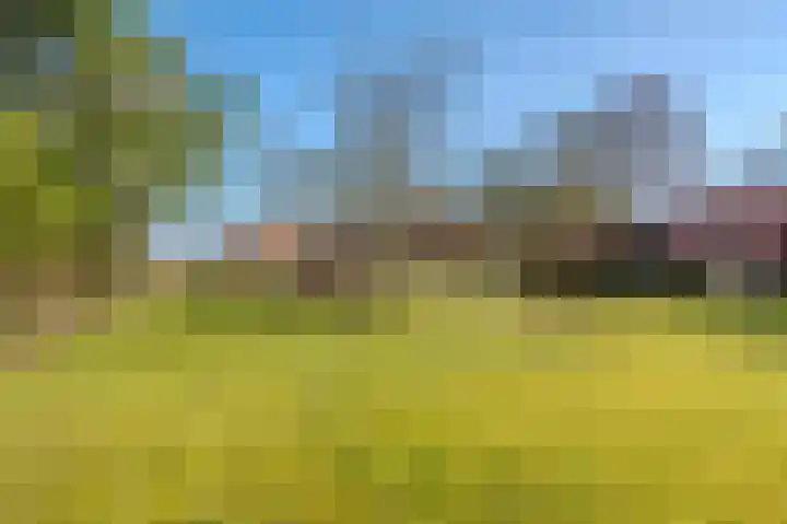 Bikkershorn 10 Westerlee thumbnail 49