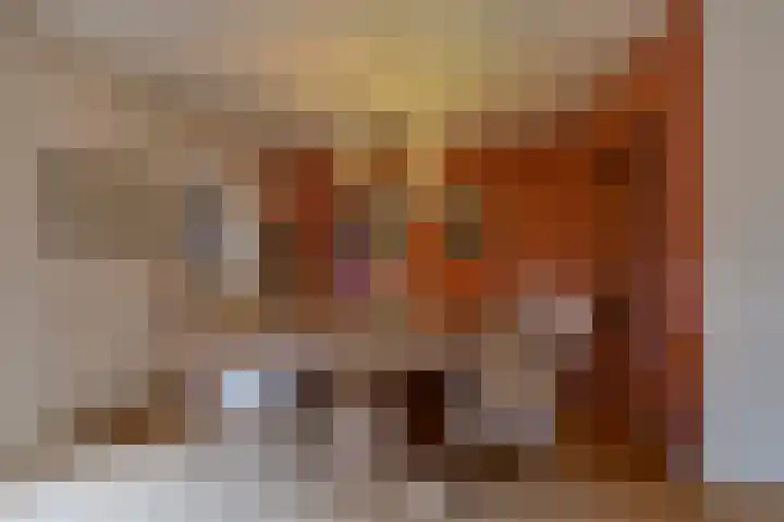 Bikolaan 53 Culemborg thumbnail 16