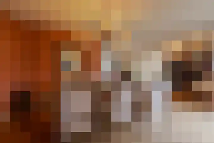 Bikolaan 53 Culemborg thumbnail 17