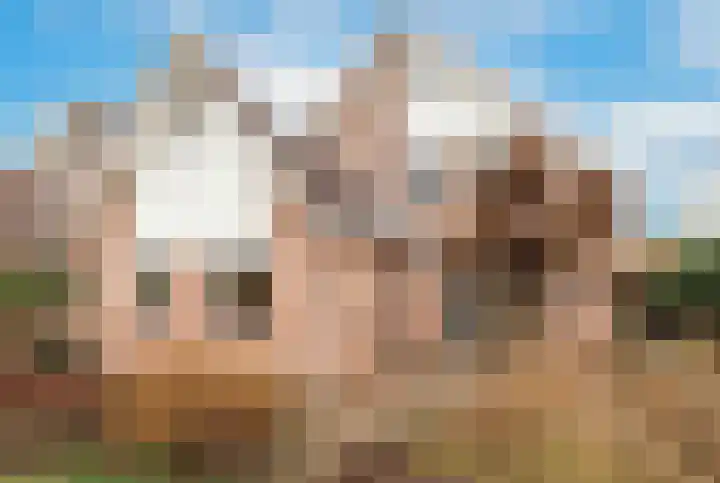 Bikolaan 53 Culemborg thumbnail 20