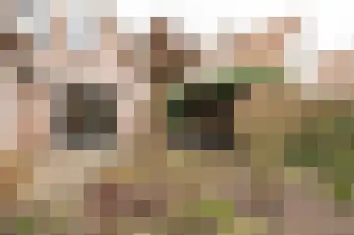 Bikolaan 53 Culemborg thumbnail 21