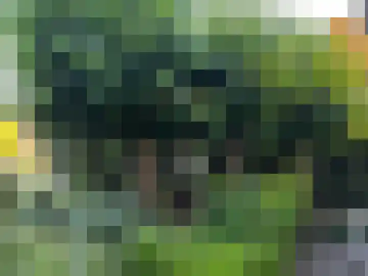 Bikolaan 53 Culemborg thumbnail 38