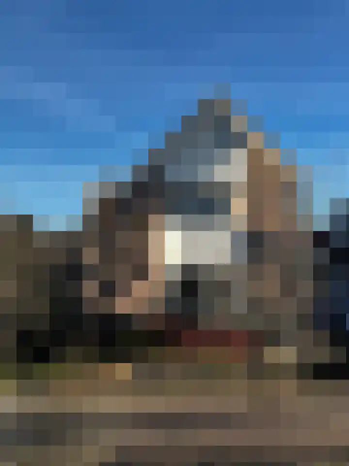 Bikolaan 53 Culemborg thumbnail 39
