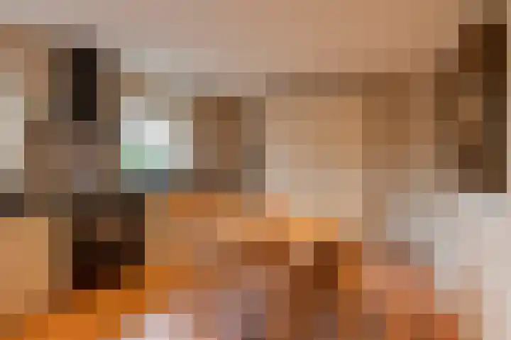 Bikolaan 53 Culemborg thumbnail 4