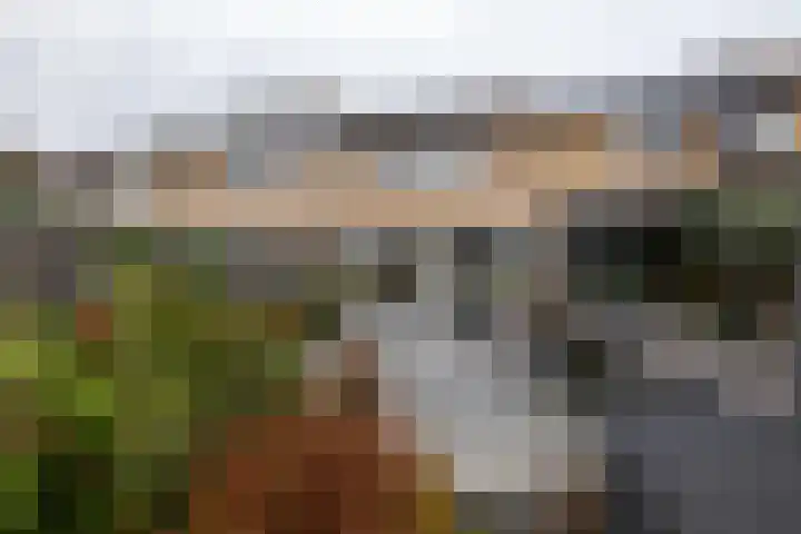 Bilderdijkhof 11 Hellevoetsluis thumbnail 28