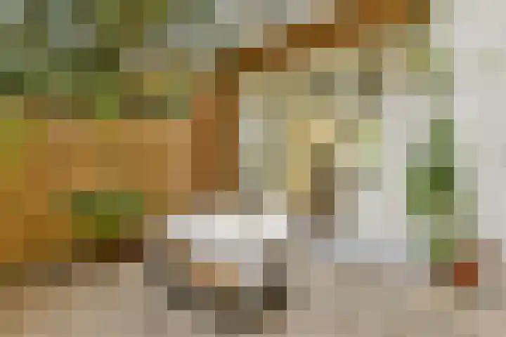 Bilderdijkkade 3 H Amsterdam thumbnail 10
