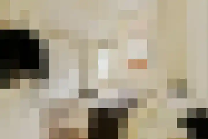 Bilderdijkkade 3 H Amsterdam thumbnail 12
