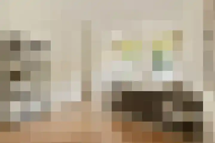 Bilderdijkkade 3 H Amsterdam thumbnail 5