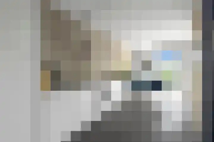 Bilderdijkkade 75 D Amsterdam thumbnail 18