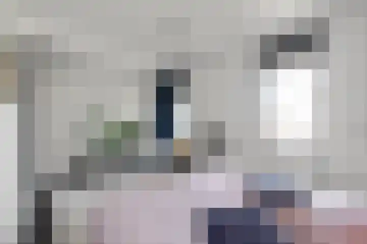 Bilderdijkkade 75 D Amsterdam thumbnail 23