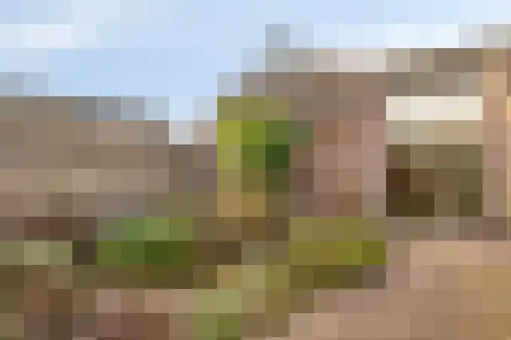 Bilderdijklaan 32 Bladel thumbnail 33