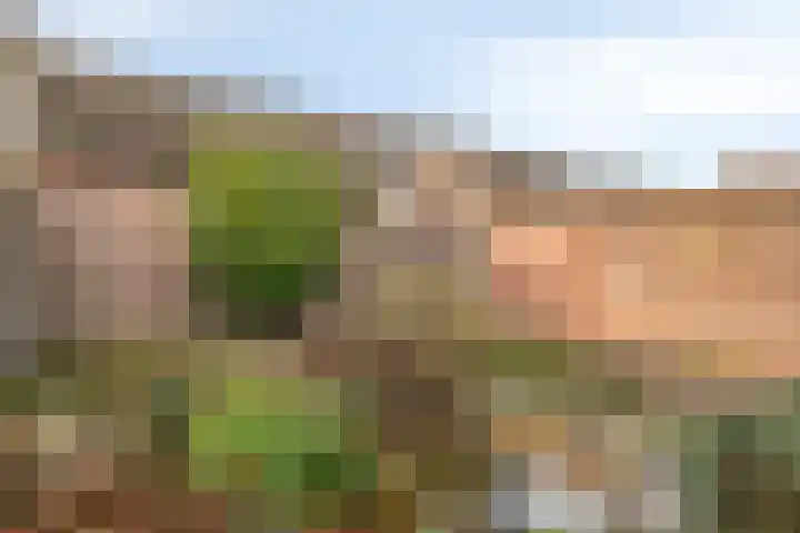Bilderdijklaan 32 Bladel thumbnail 34